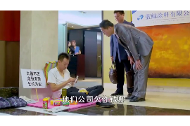 乃东乃东讨债公司服务